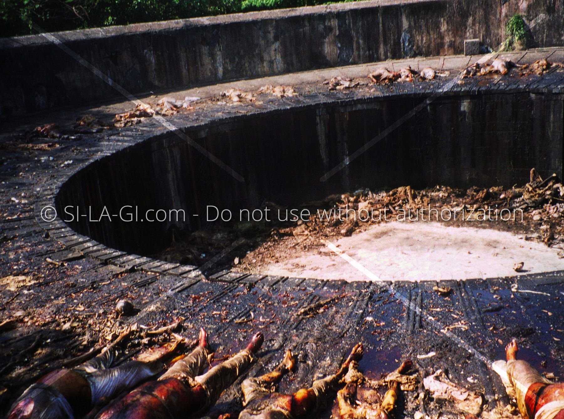 Tower of silence / A Csend Tornya - C-print - 1999