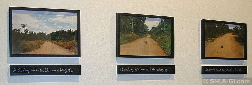 Hanging Garden - Fészek Galéria - Budapest - 2000